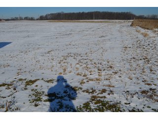 54.7 Acres with 50 tillable and 4.3 wooded.  Surrounded by heavy deer population on CRP land.  Great trophy deer hunting on established food plots.  Hunting tower.

Receive income on tillable acres while abundance of deer hunting on established food plot. - Great Investment Opportunity - Tillable Land, Recreation & Building Site